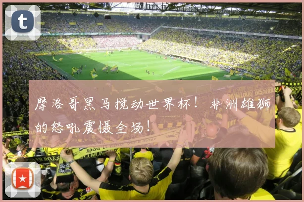 摩洛哥黑马搅动世界杯！非洲雄狮的怒吼震慑全场！