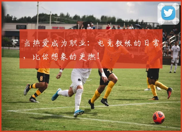 当热爱成为职业：电竞教练的日常，比你想象的更燃！